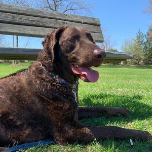 Meet your Posher, Erin